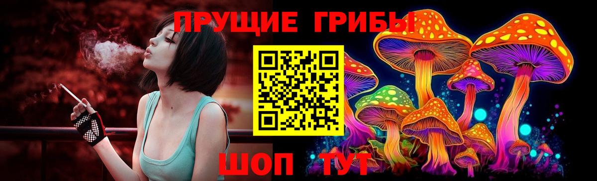 Галлюциногенные грибы Psilocybine cubensis  Вход с VPN  Краснознаменск 